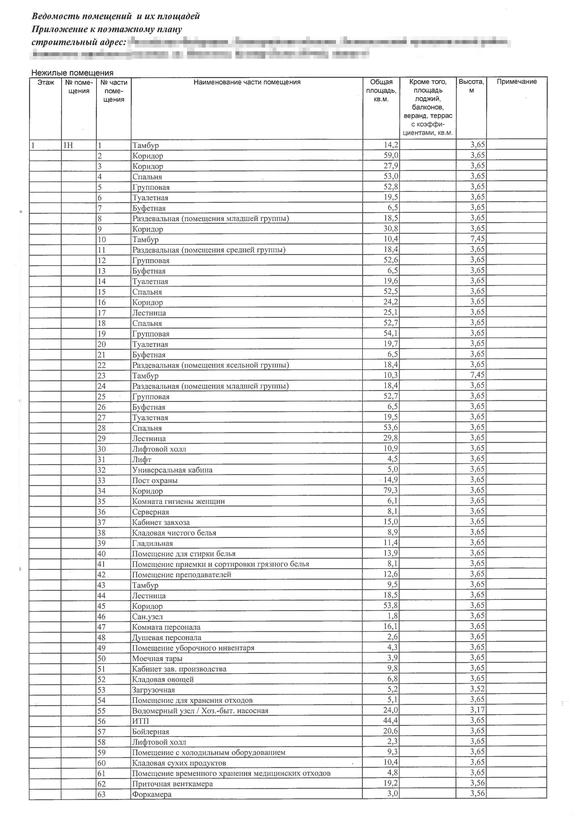 Садик NEWПитер Ведомость