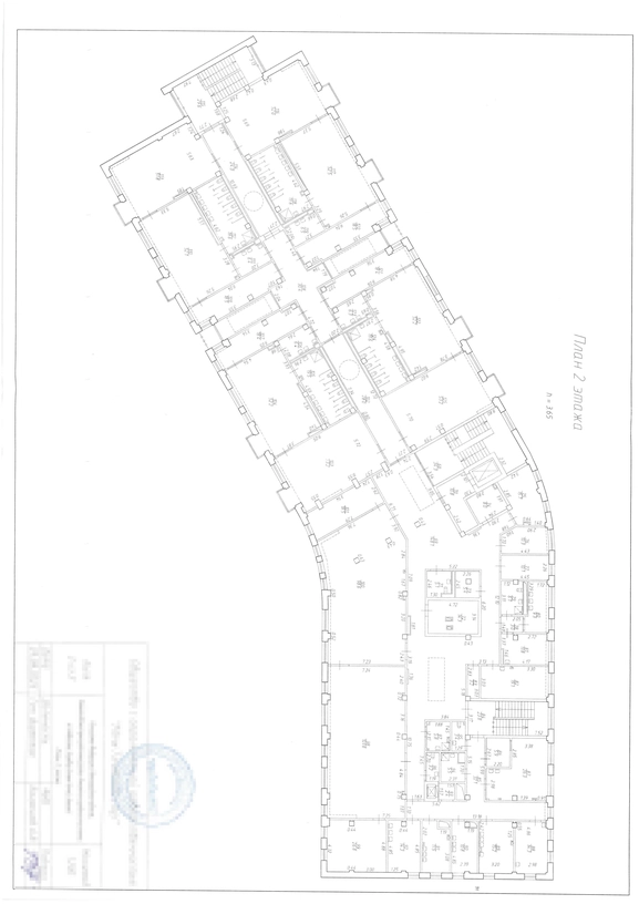 Садик NEWПитер 2 этаж