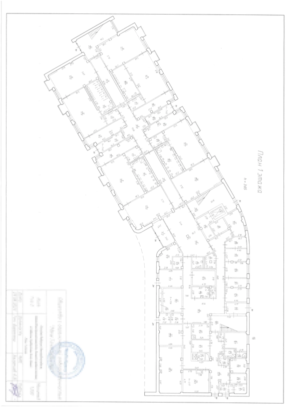 Садик NEWПитер 1 этаж